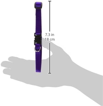 LupinePet Basics 1/2" Purple 10-16" Adjustable Collar for Small Dogs