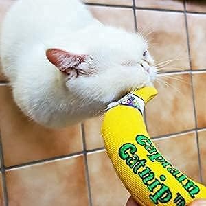 Captain Catnip Cat Banana Toy, Kitten Interactive Toy, Fun Playing Cat Toy, Filled with Organic Catnip for Indoor Cats (2)