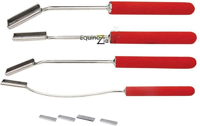 Equine Dental 4000 Speculum Horse Mouth Gag with Leather Straps and 4-Piece Professional Teeth Float Set – Stainless Steel Veterinary Dental Instruments Kit with Foamy Grip for Horses