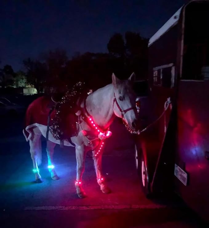 LED Horse Breastplate Collar - 7 Colors in 1 Light Up Horse Tack, USB Rechargeable - Added Visibility & Safety for Night Riding