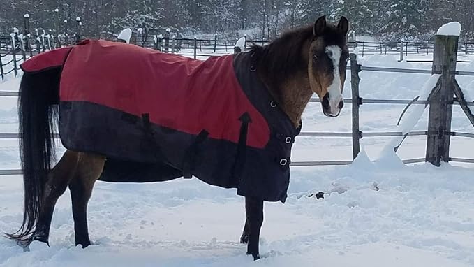 STORM SHIELD Contour Collar Classic II Horse Turnout Blanket | Bellyband Closure | Horse Blankets for Winter Waterproof | Weather Protection | Winter Horse Blanket