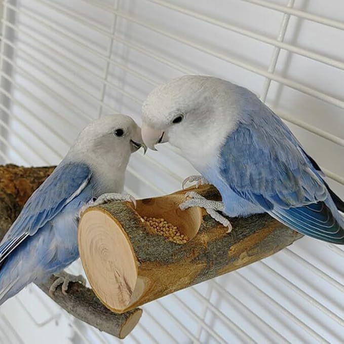 Small Bird Feeding Dish Cups, Removable Pet Food Bowl for Cage, Parrot Feeding Bowls for Finches Lovebirds Budgie Cockatiel Parakeet