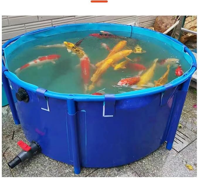 Aquaculture Tank, Folding Fish Pond, Canvas Fish Pond Pool, Fish Pond Liner, Pool Above Ground with Framed, for Store Up Water Irrigation Aquatic Products Breeding Pond 78 x 32 in (2400 L)