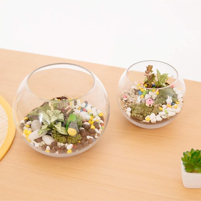 WGV Bowl Glass Vase Bulk, Diameter 8", Height 6.5", Open Width 3.75", (Multiple Sizes Choices) Clear Bubble Planter Terrarium Fish Bowl for Wedding Event Home Decor, 6 Pieces (VBW0008)
