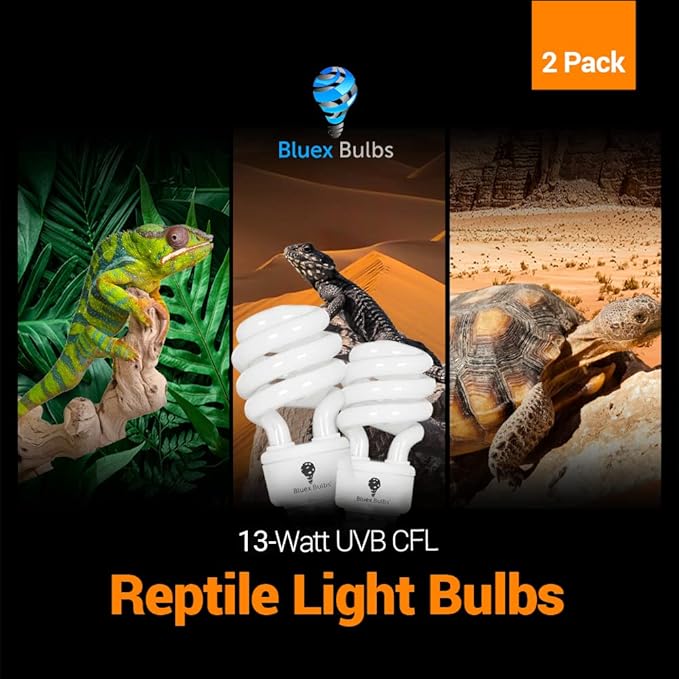 Bluex Bulbs 2 Pack 13-Watt Reptile Light - Intense UVA/UVB, 15.0 UVB, Compact Florescent, Suitable for Desert Reptiles & Amphibians, Promotes Natural Behavior, CFL Bulb (UVB 15.0)