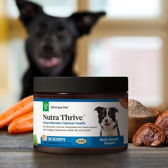 Ultimate Pet Nutrition Nutra Thrive Canine, 40-in-1 Nutritional Powder Supplement for Dogs with Digestion and Immune Support, Vitamins, Minerals, Probiotics, Enzymes, 30 Scoops (Pack of 3)
