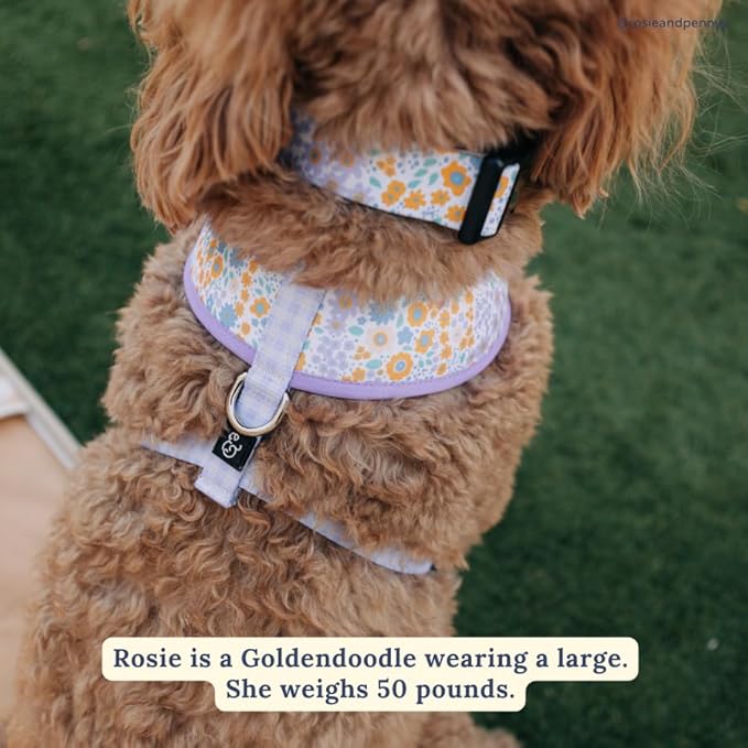 Lucy & Co. Among The Wildflowers Dog Collar - Durable Lightweight Designer Collar for Pets - Adjustable Metal Safety Buckle - Purple Floral - Small