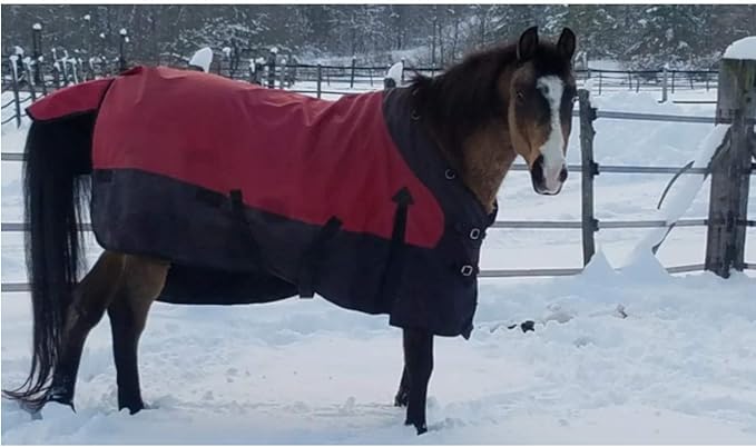 STORM SHIELD Contour Collar Classic II Horse Turnout Blanket | Bellyband Closure | Horse Blankets for Winter Waterproof | Weather Protection | Winter Horse Blanket