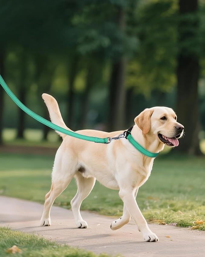 Joytale Large Dog Collar, Reflective and Adjustable Nylon Pet Collar with Quick-Release Buckle for Extra Large Dogs, Teal, XL