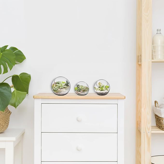 balacoo 3 Pcs Glass Terrariums Bowl for Plants, Terrarium Jar for Air Plant Clear Globe Vase Glass Bowl for Home Desktop Decor