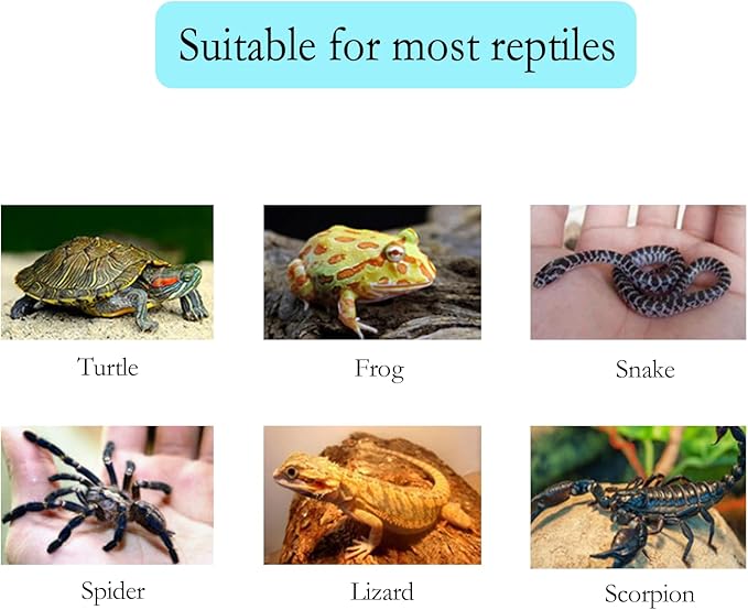 Reptile Water and Food Bowl, Natural Tree Bark Design, Round Shallow Dish, Terrarium Feeding Dish for Lizards, Snakes, Amphibians (Small)