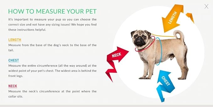 Pets First Collegiate ARKANSAS RAZORBACKS Dog T-Shirt, X-Small. - Licensed Shirt for Pets Team Colored with Team Logos.- Premium Stretchable Materials for the Comfrot of your Dog & Cat.
