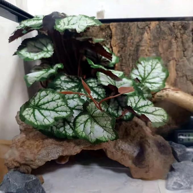 Reptile Plants for Terrarium Decor,Amphibian Habitat Decor,Artificial Plants for Gecko Chameleon Snake Tortoise Tank Accessories with Base (Green heuchera micrantha)