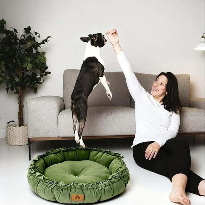 AYONS Pet Pad for Cats & Small Dogs - Deep Gray & Dark Green, S/M/L Sizes, Soft Comfortable Sleeping Cushion, Non-Slip Bottom Rest Bed, Washable Indoor Cuddle Mat