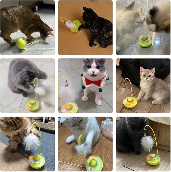 PAZ'S GIFT Interactive Cat Toy, 3-in-1 Teaser with Rolling Ball Track, Catnip Dancer for Indoor Cats