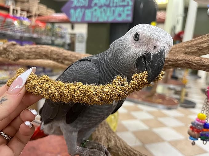 1lb Millet Tips & Tails for Birds - Parakeets, Cockatiels, Lovebirds, Finches, Budgies, Canaries, Cockatoos - Natural & Healthy Millet for Birds - Parakeet Food & Treats for All Parrots (2 Pack)
