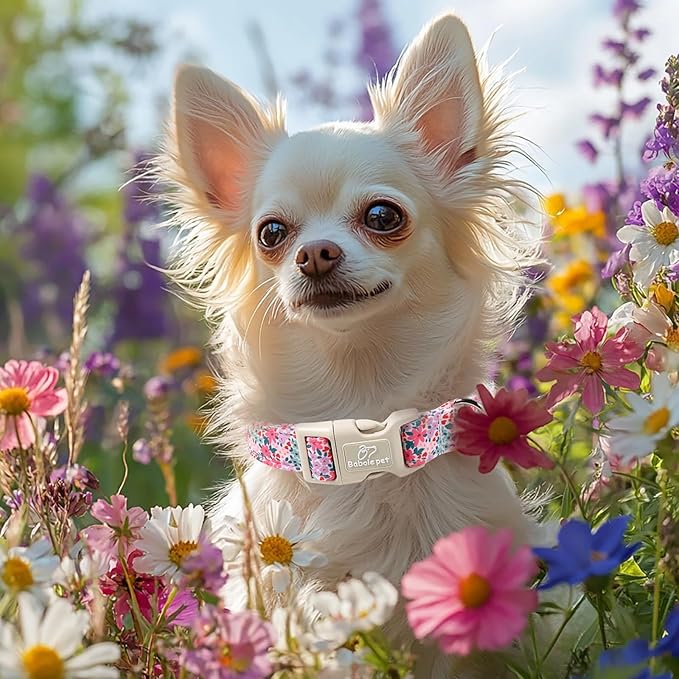 Floral Dog Collar, Cute Girl Dog Collars - Pastel Wildflowers Pattern Spring Summer Puppy Collar, Adjustable Female Dog Collars for Small Medium Large Dogs XL
