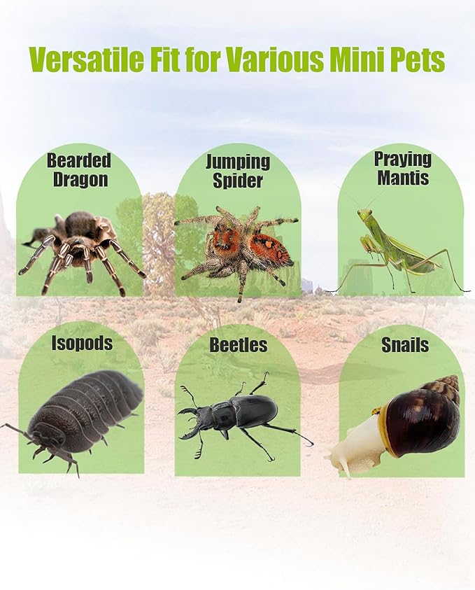 Jumping Spider Enclosure 6”x6”x10”, Transparent Arboreal Tarantula Habitat, Praying Mantis Terrarium Critter Cage for Jumping Spider, Tarantula, Mantis, Snail, Isopods, Beetles, Millipedes