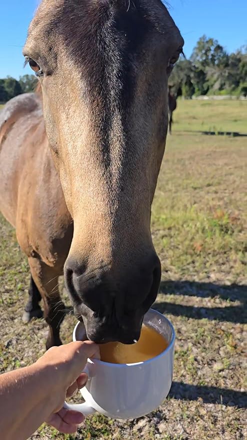 Low Calorie Hydration, Feed Topper & Treat | Safe, NO Electrolyte/Salt for Daily Intake | No Sugar Added | Hydration Support for Horses, Livestock & Dogs | 8 Servings | Basic Batch