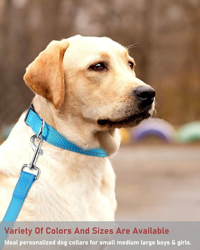Reflective Dog Collar with Buckle Adjustable Safety Nylon Collars for Small Medium Large Dogs, Sky Blue XXS
