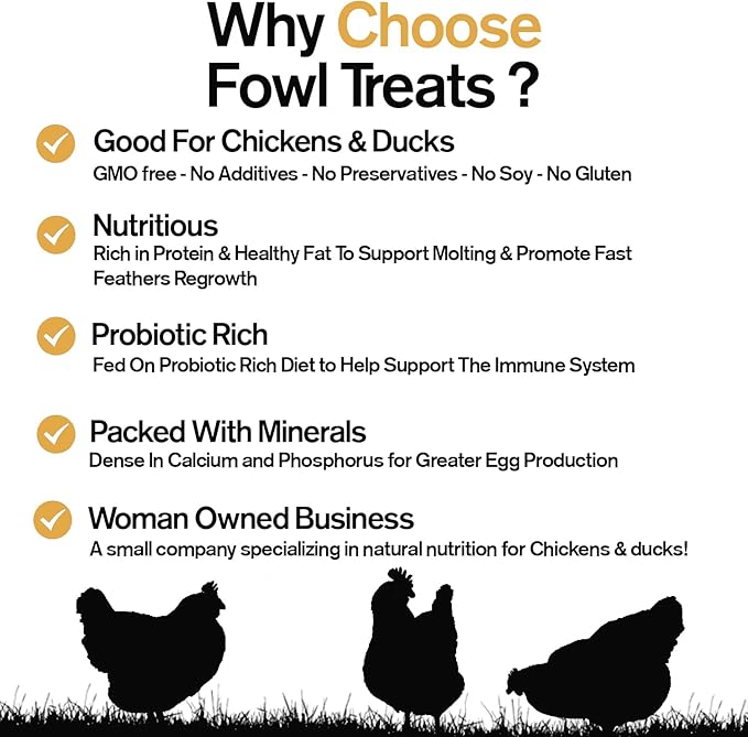 Naturally Fortified Fowl Slaw - Calcium Rich Supplements Suitable for Hens and Ducks, Contains USA Grown Ingredients – Natural Deworming – 8oz