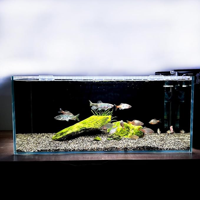 3.5 Gallon Fish Tank 30 * 30 * 15CM- Low Iron Glass Aquarium with Non-Slip Mat, Background Paper & Corner Protectors | Betta, Turtle, Shrimp Habitat Kit | Beginner Friendly Small Aquarium