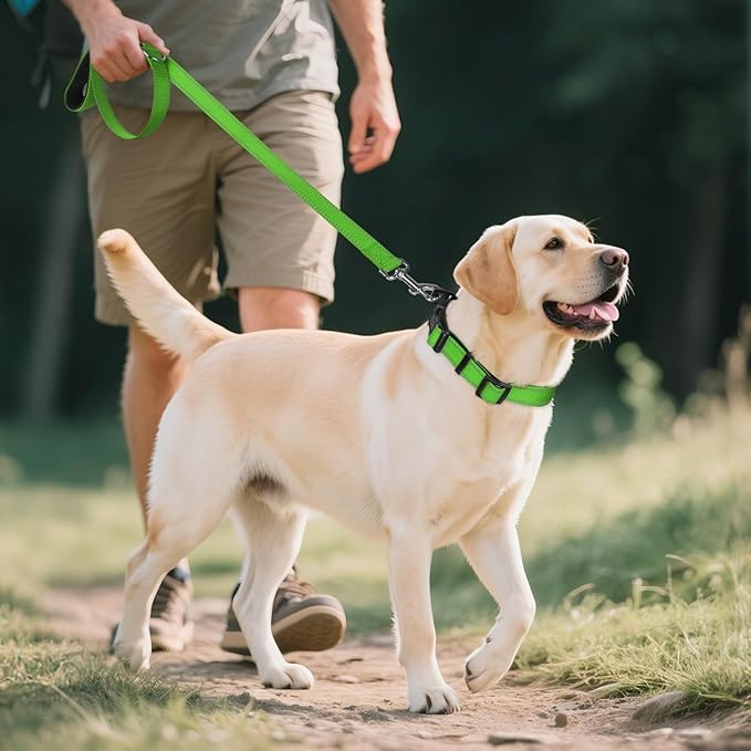 Joytale Reflective Dog Collar, Soft Neoprene Padded, Metal D-Ring, Nylon Pet Collar Adjustable for Large Dogs, Green, L