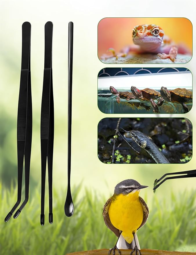 3PCS Reptile Feeding Tongs with Rubber Tips, 11.8-inch Stainless Steel Reptile Tongs and Spoon Long Feeding Tweezers for Turtles, Bearded Dragons, Geckos, Tree Frog, Tank Accessories