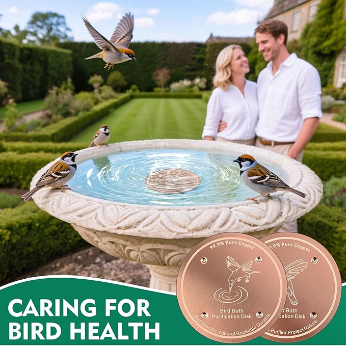 2 Pcs Bird Bath Copper Disk | 99.99% Pure Copper Plate & Birdbath Disk | 0.6mm Thick Reinforced Design | Maintains Clean Water Naturally | Fits All Birdbath Bowls Year-Round (Bird Style 2)