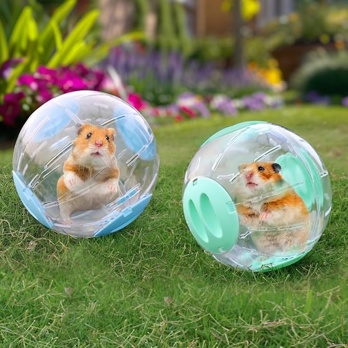 Hamster Exercise Ball, 7.9 Inch Syrian Hamster Ball, Transparent, Large Ball with Four entrances (Green)