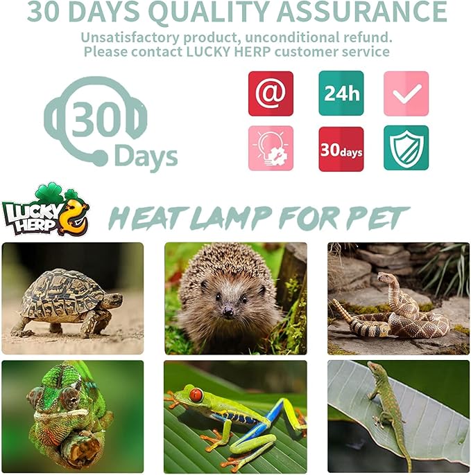 LUCKY HERP 4 Pack 50W UVA UVB Reptile Light Bulbs, Heat Lamp Bulbs for Reptiles and Amphibians, Basking Light Bulb for Turtle, Bearded Dragon, Lizard Heating Use