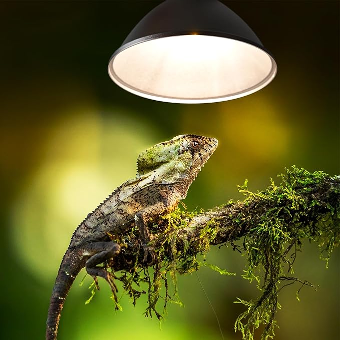 Reptile Heat Lamp Fixture 25W,Dome Reptile Light Fixture with 5PCS Halogen Heat Bulb,G9 UVA Basking Lamp E26 Lamp Socket for Turtle,Gecko,Lizard,Snake,Tortoise,Bearded Dragon,Frog