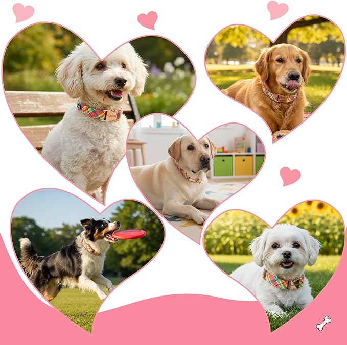 Cotton Dog Collar, Soft Adjustable Dog Collars for Extra Small Dogs, Multi-Color Plaid Dog Collar for Small Medium Large Dogs, Cute Dog Collars Perfect for Girl or Boy Dog Collars-XS