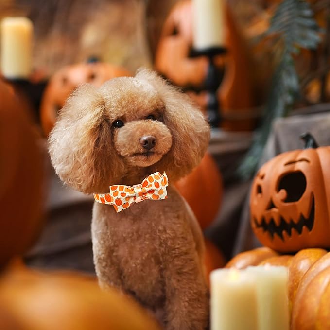 Dog Collar - Halloween Pumpkin Bowtie Dog Collar Gift Soft Bow Collar Pet Adjustable Metal Buckle Dog Collar for Large Dogs