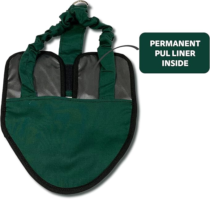 Hen Holster Bird Diaper, Wrap Around - for Hens, Roosters, Ducks, Leak-Proof Design, Comfortable Fleece Strap Bird Harness with Sewn-in Liner, Secure Hook and Loop Closure - XL, Green