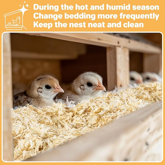 31OZ Sukh Chicken coop Bedding - Aspen shavings Animal Bedding as Chicken Supplies for Chicken House Bedding winterizing Nesting for Small pet Guinea Pig Rabbit Chinchilla Bird Gerbil Odor Control