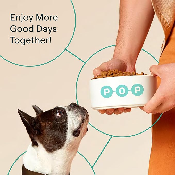 Dog Food Supplement – Multivitamin Powder for Dogs - Bone Broth Base with 6 Human-Grade Superfoods - Supports Joints, Gut, Skin & Coat - Ideal for Picky Eaters, 35+ lbs - 30 Packets