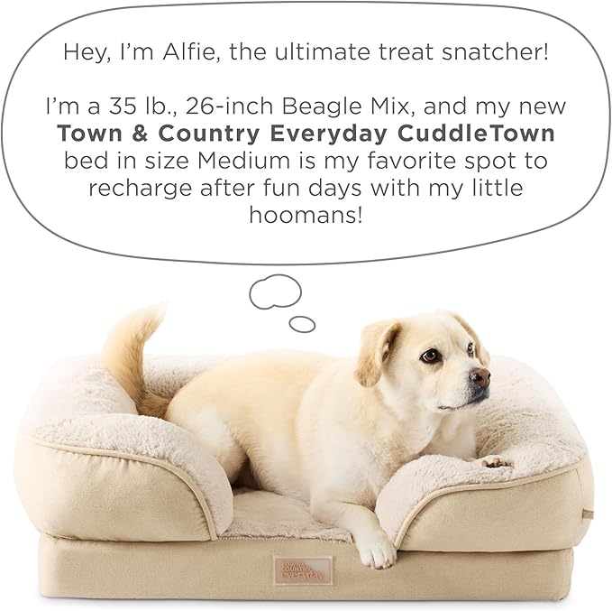 TOWN & COUNTRY EVERYDAY CuddleTown Comfy Solid Bolster Sofa Pet Bed, Supportive & Calming Egg Crate Foam, Non-Slip Bottom, Machine Washable Cover, Beige, Medium 28"x23"x8"