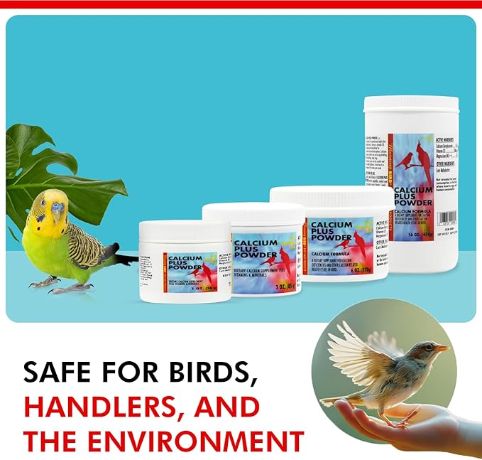 Morning Bird Calcium Plus Powder for Birds 16 oz – Calcium Supplement with Vitamin & Protein Powder – Supports Bone Health, Muscle Function & Digestive Balance – Easy-to-Mix Calcium Formula
