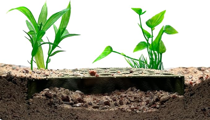 Shrimp Breeding Protector | Shrimp Breeding Cave Aquarium Tunnel | CTWPets (Forest Green)