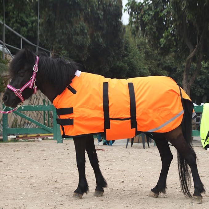 Foal/Mini Horse Size 30"-48" Waterproof & Breathable 300 Denier Winter Turnout Blanket with 150g Polyfill Orange Small