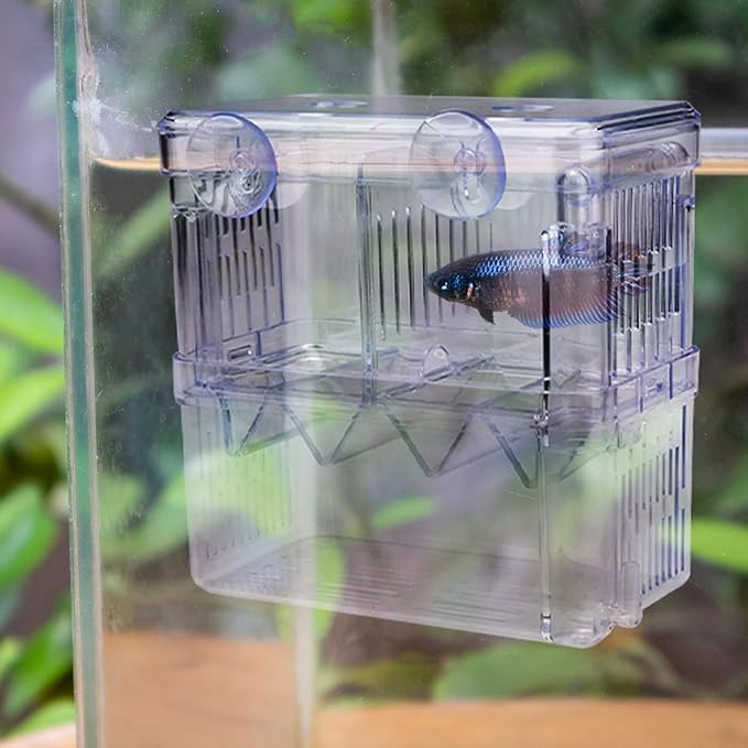 Floating Fish Breeder Box for Aquarium Divider, Transparent Fish Isolation Breeding Box with Suction Cups, Shrimp Tank Hatchery Fry Incubator for Clownfish Betta Guppy Acclimation