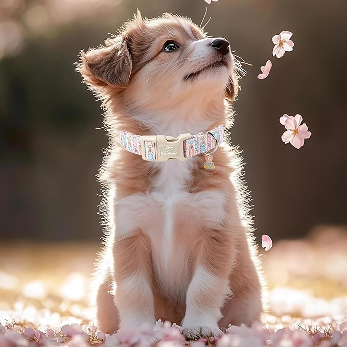 Easter Dog Collar for Small Dogs - Pastel Bunny Easter Collars for Female Dogs, Cute Spring Girl Dog Collar, Lightweight Adjustable Cartoon Holiday Pet Collars S