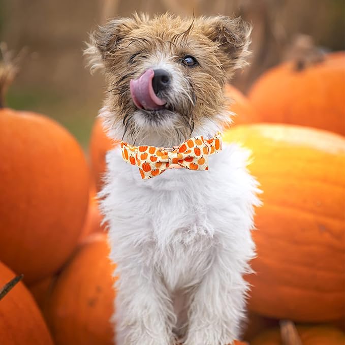 Dog Collar - Halloween Pumpkin Bowtie Dog Collars Gift Soft Bow Collar Pet Adjustable Metal Buckle Pet Collar for X-Large Dogs