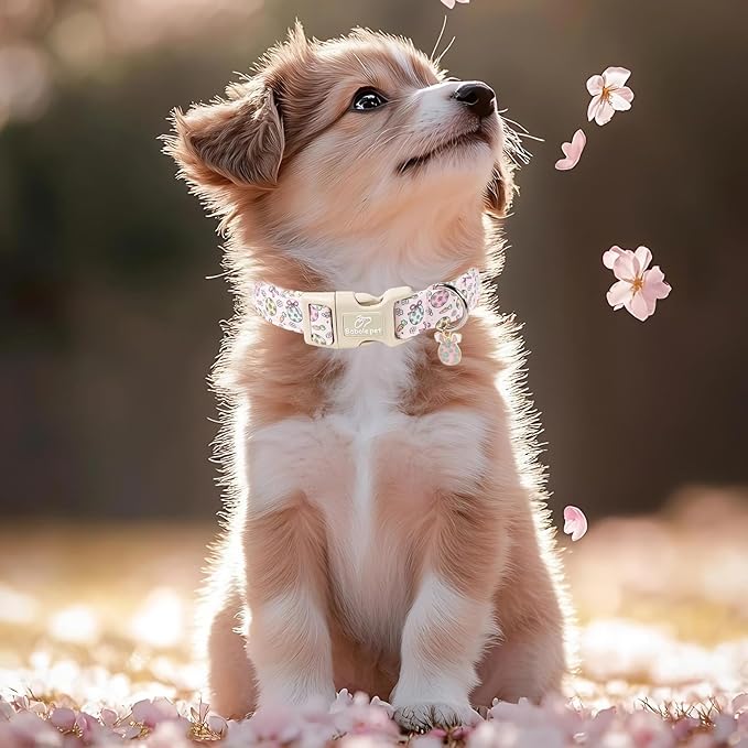 Easter Dog Collar for Small Dogs - Easter Egg Pastel Dog Collars, Cute Girl Dogs Collar, Lightweight Adjustable Pink Spring Holiaday Dog Collars with Quick Release Buckle S