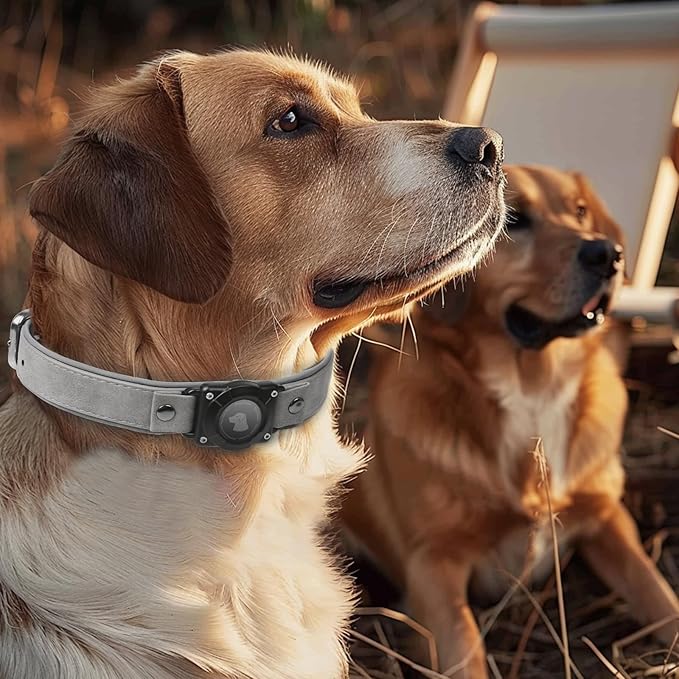 AirTag Dog Collar - Leather Dog Collar with Air Tag Holder | IPX8 Waterproof, Reflective, High - End, Adjustable Soft Padded | Dog GPS Tracker Collars Fit for Medium Large Dogs (Grey, XL)
