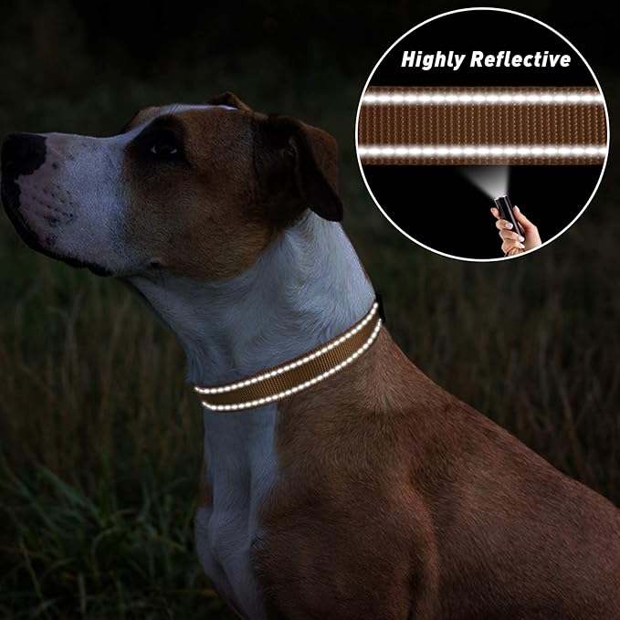 TagME Reflective Nylon Dog Collars, Adjustable Classic Collar with Quick Release Buckle for Small Dogs, Khaki, 5/8" Width