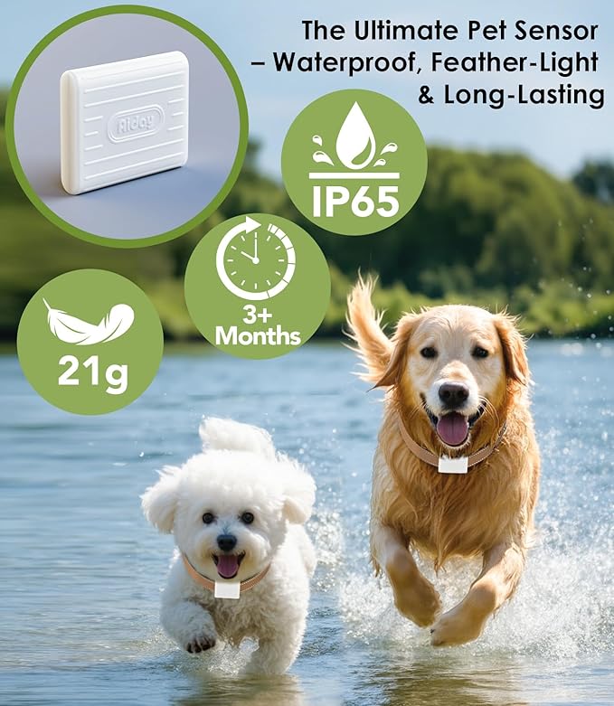 Automatic Dog Door for Wall with Sensor Collars, Large Smart Pet Door for Wall, Custom Scheduling & Anti-Pinch, Fits Large Dogs up to 100 lbs(L)