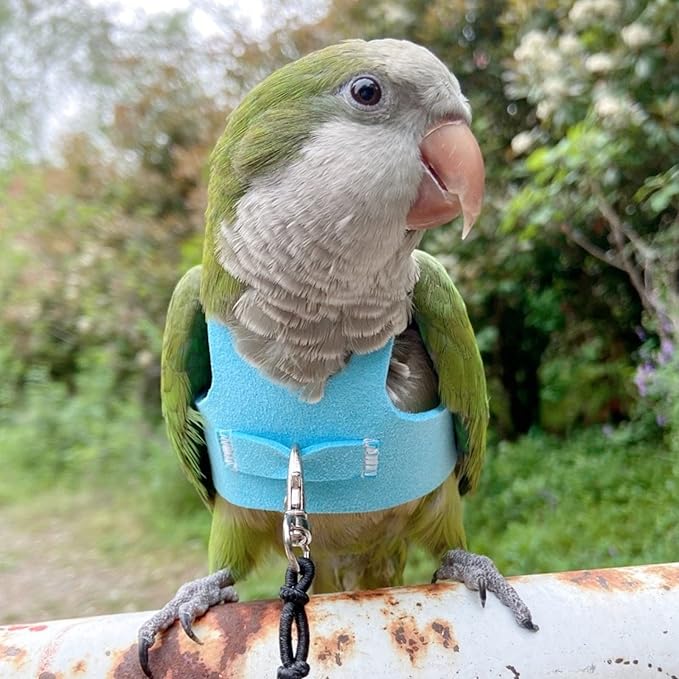 Bird Flight Harness Vest, Parrot Flight Suit with Leash for Parakeets Cockatiels Conures Budgies, Bird Flying Clothes with Rope and Handle for Outdoor Activities Training (S, Blue)