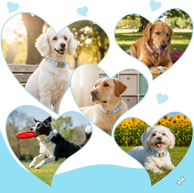 Cotton Collar for Dog,Soft Adjustable Dog Collars for Extral Small Dogs, Cute Dog Collar with Blue & White Plaid for Small Medium Large Dogs, Perfect for Girl or Boy Dog Collars-XS